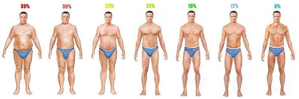 体脂肪率見た目　男性